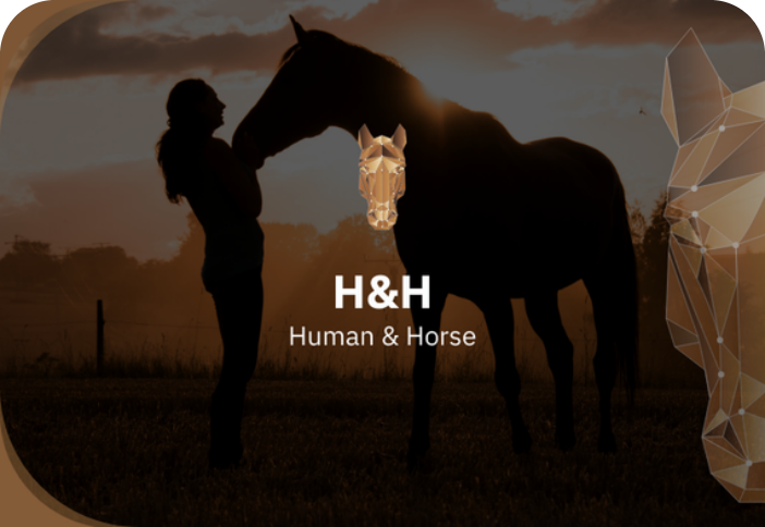 Personal Portfolio Images